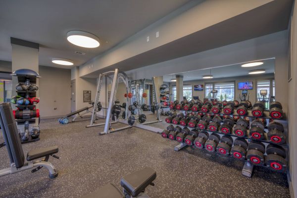 Residences at Capitol View modern gym with free weights and weight equipment