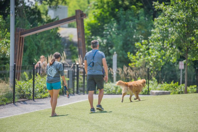 Residences at capitol view residents walking around park with golden retriever